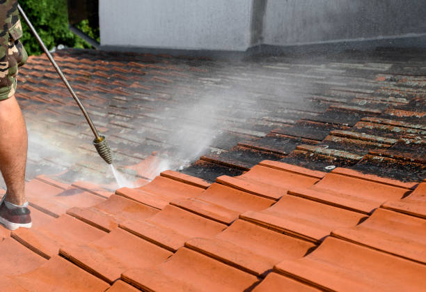 Why Choose Our Certified Pressure Washing Experts for Your Project Needs in Paradise, NV?