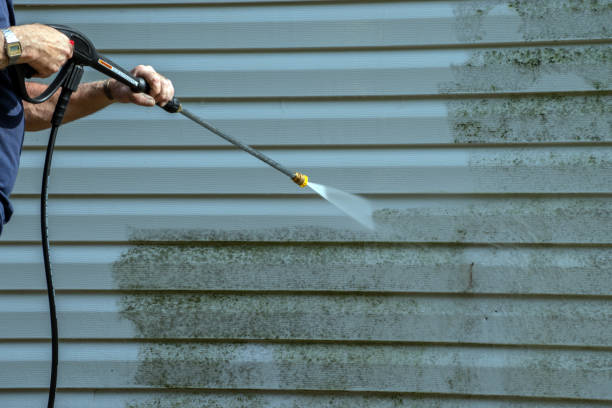 Best Concrete Pressure Washing  in Paradise, NV