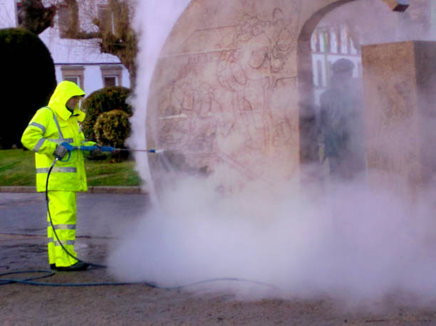 Best Pressure Washing Siding  in Paradise, NV